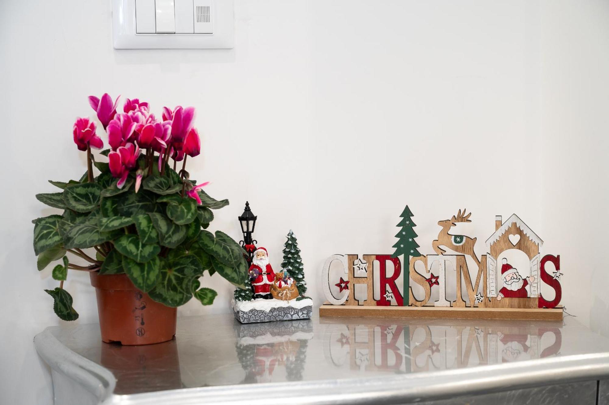 St. Peter Boutique Apt Ρώμη Εξωτερικό φωτογραφία